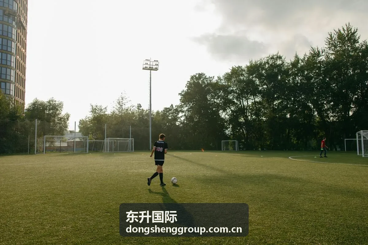东升国际全球伙伴合作模式与商务场景