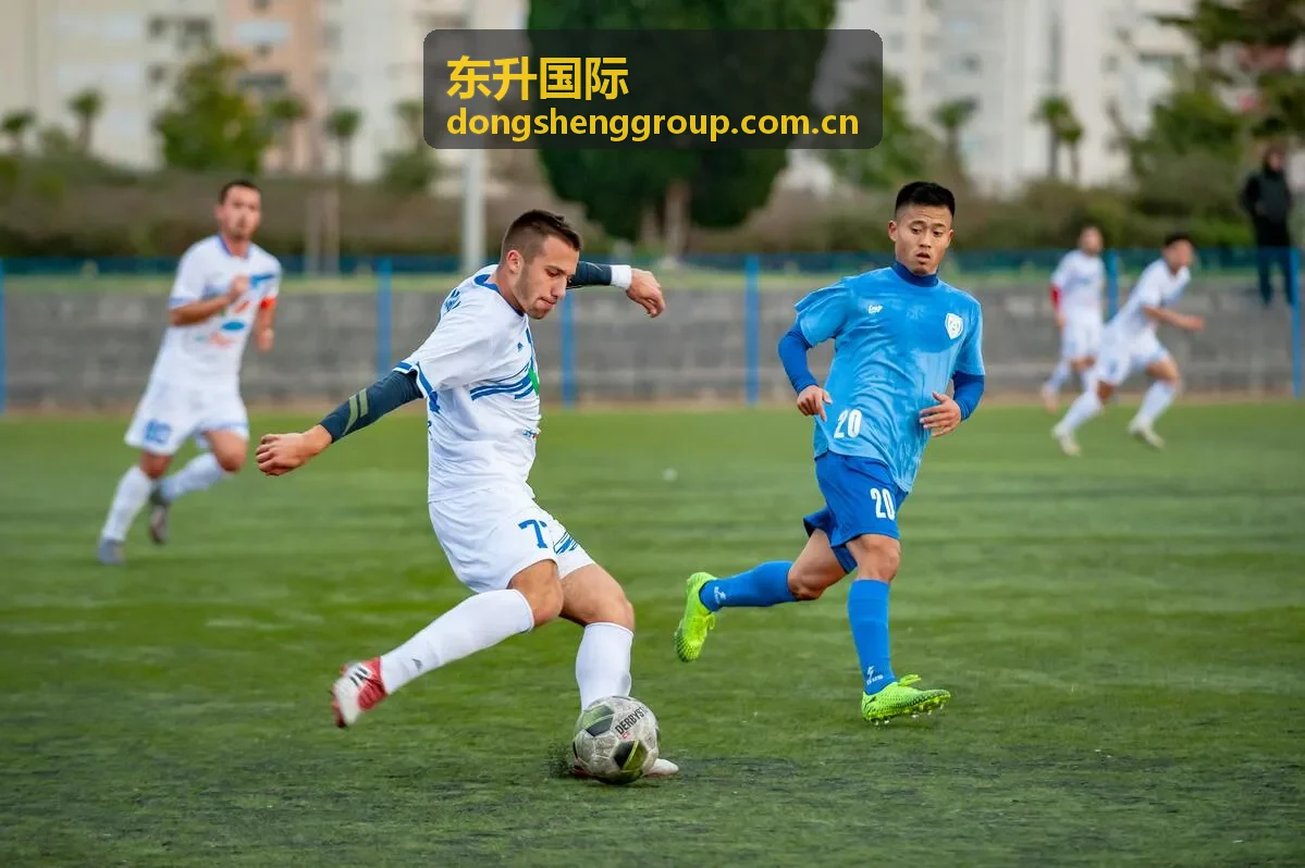 东升国际中东产业合作方案